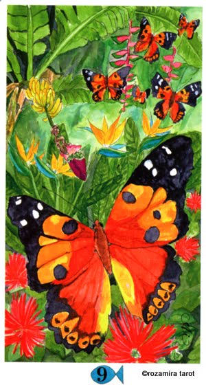 Hawaiian Aloha Tarot
